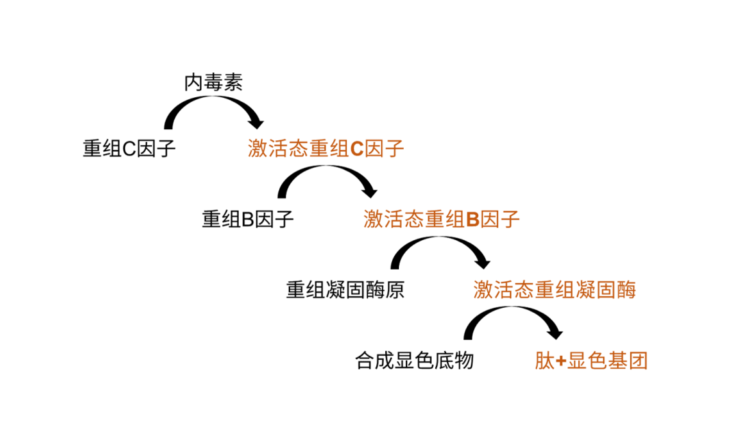 原理图