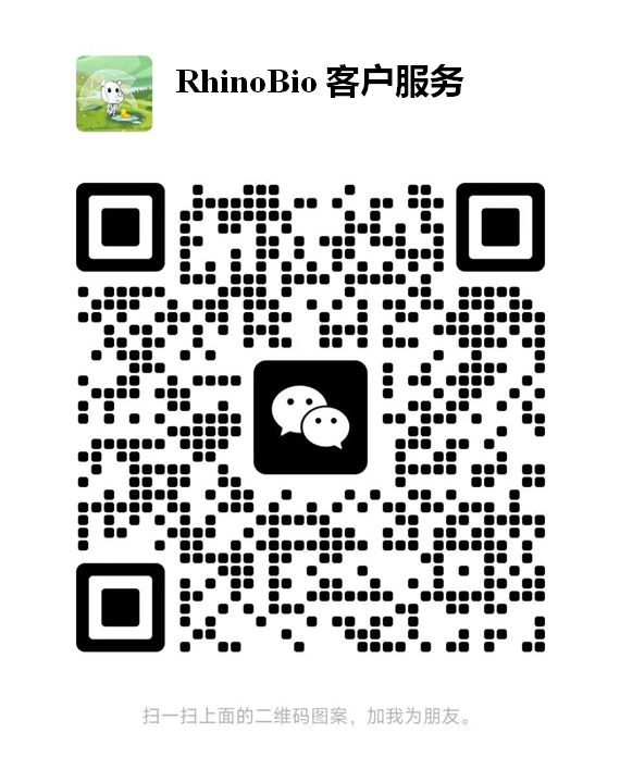 358e0a19e2aed56