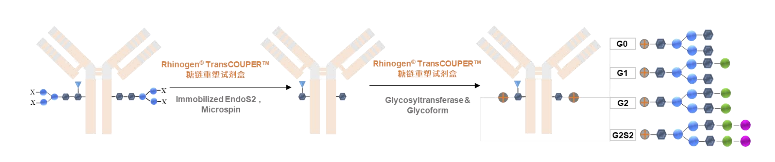 企业微信截图_20241125105549